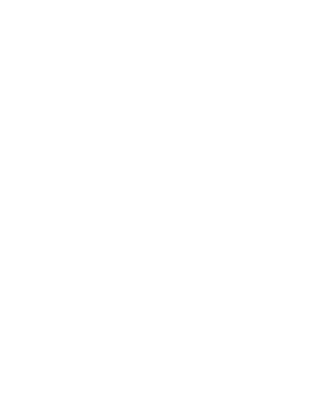 The Stitch Witch, Dorset VT
